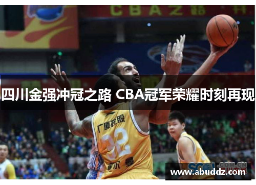 四川金强冲冠之路 CBA冠军荣耀时刻再现 四川金强冲冠之路 CBA冠军荣耀时刻再现