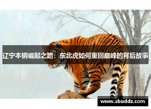 辽宁本钢崛起之路:东北虎如何重回巅峰的背后故事 辽宁本钢崛起之路:东北虎如何重回巅峰的背后故事
